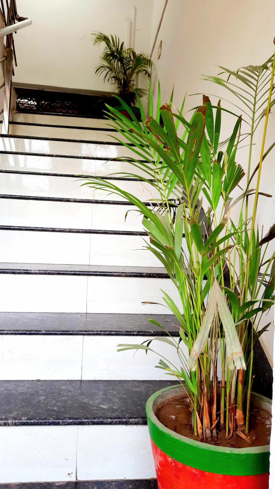 Hotel Season Ahmedabad Esterno foto