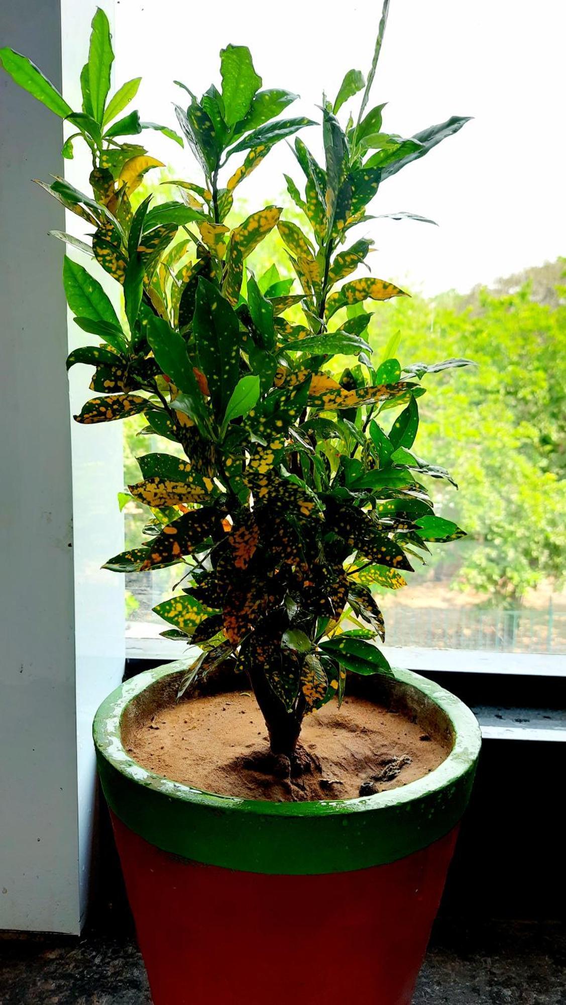 Hotel Season Ahmedabad Esterno foto